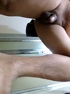 loboAudZ90 webcam