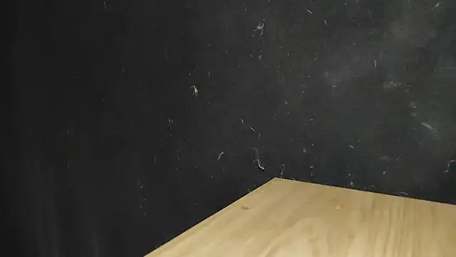 lionel951 webcam