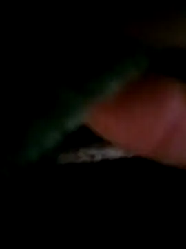 vulgovic_ webcam
