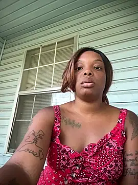 tweetbad webcam