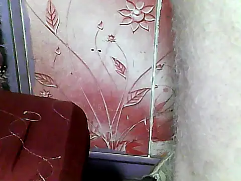 two_colour_cock webcam