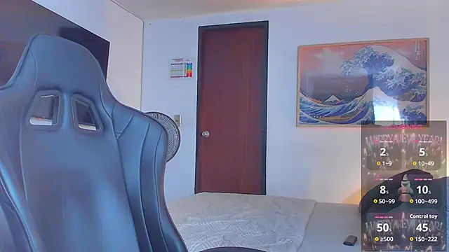 RJBarto webcam