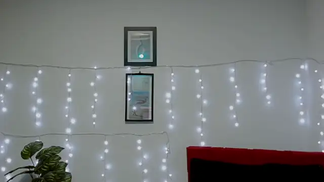 Evanss_lx webcam