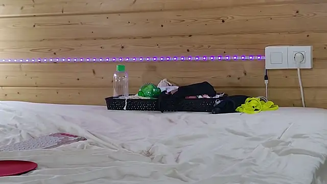 wild41 webcam