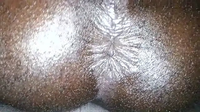 DaBestDad webcam