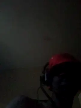 BuirdlyVerse webcam