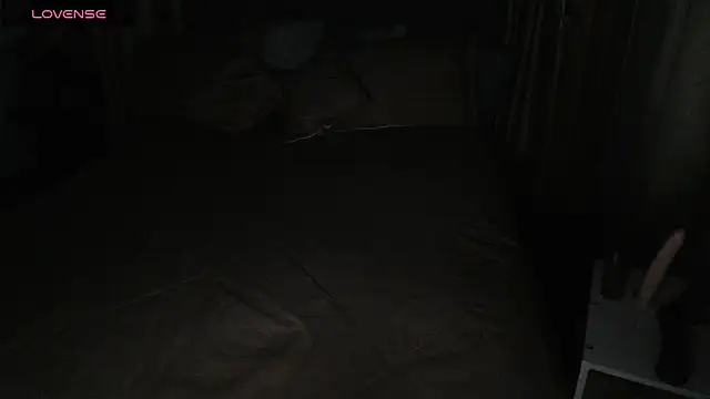 sasi_luna webcam