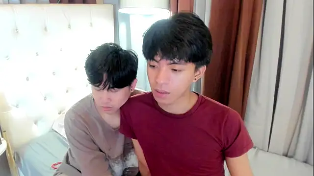 davincihugecock webcam