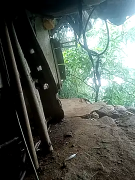 Ruaiuoi webcam