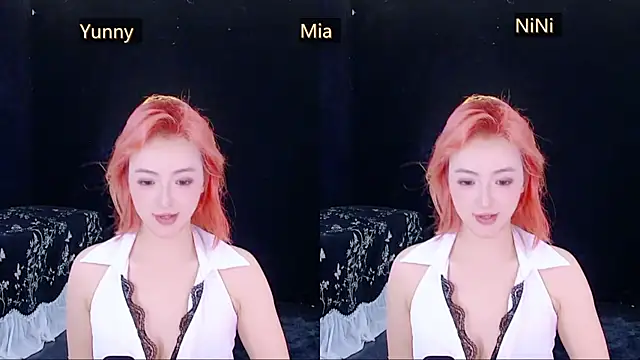 MiNi-U webcam