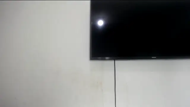 Fox_Loves