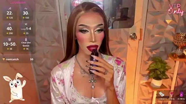 anitacruise webcam