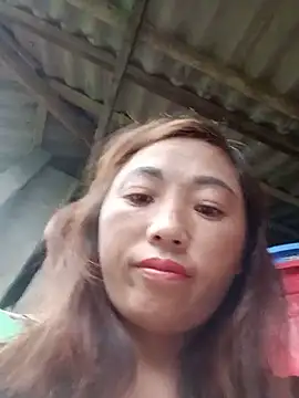 seacyre webcam