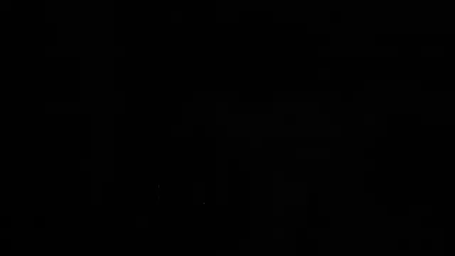 Aurora_Real webcam