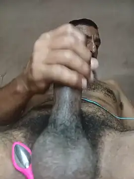 Longthick26cm webcam