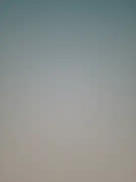 Lovensetest webcam