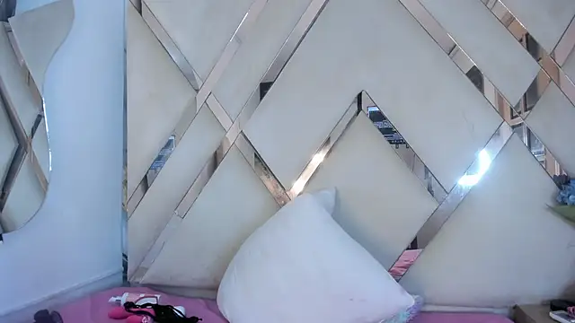arixht webcam
