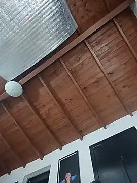 SilvaBranko webcam
