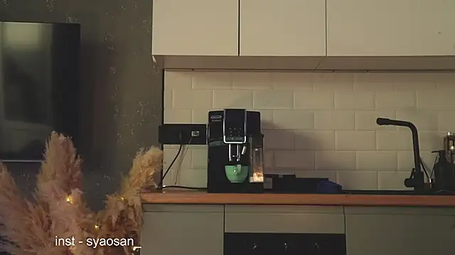 Arlitik webcam