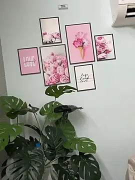 Nana-19 webcam