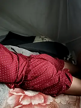 Hoa-tuylip webcam