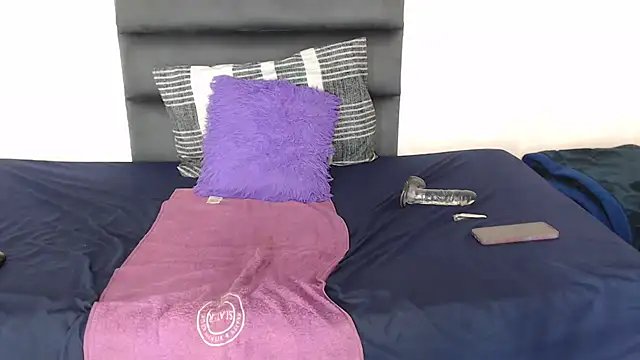 Ldidii webcam