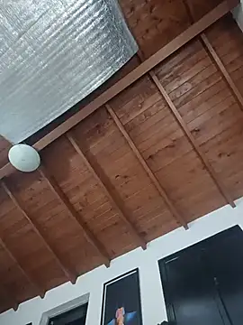 SilvaBranko webcam
