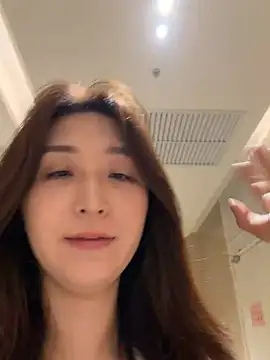 KK-328 webcam