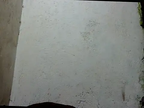 asianhardcockts69 webcam