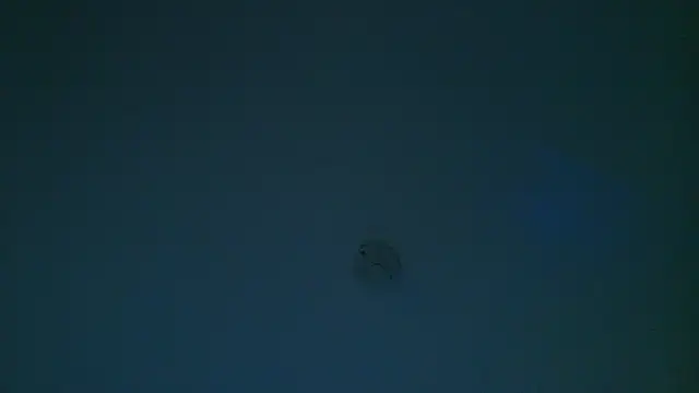 Real_virgin_Pussy webcam