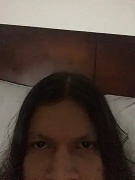 Thedol1 webcam