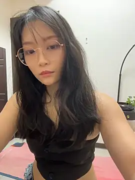 wt0314 webcam