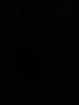 kotkite webcam