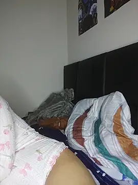 Aranzatits webcam