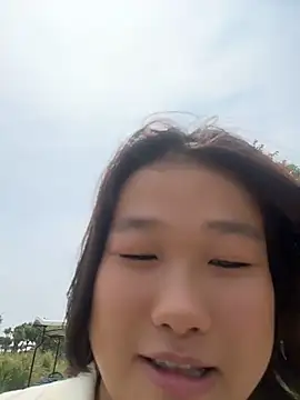wagoudan webcam