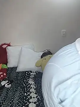 Valuysarauwu webcam