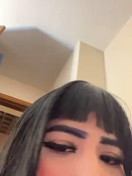 -Brittanny webcam