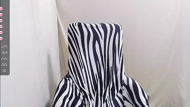 AkinLocal webcam