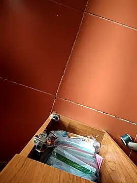 -Tara-a webcam