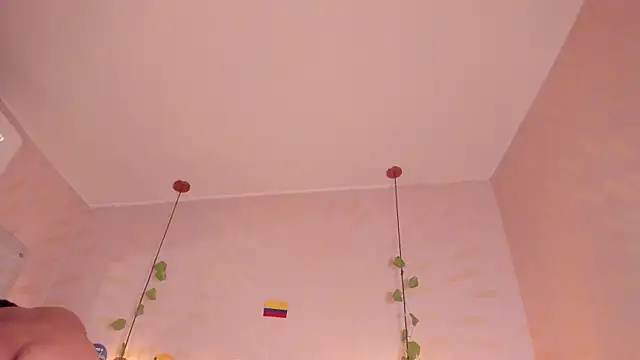daphne_courtis webcam