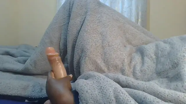 ndivhuwomuleya webcam
