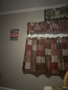 ReallyReallyReal webcam