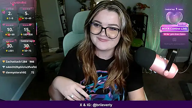 Briieverly webcam