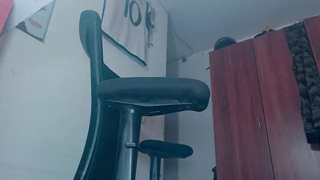 theskateboy webcam