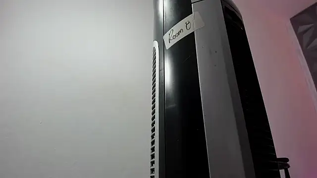 Fayzz_2 webcam