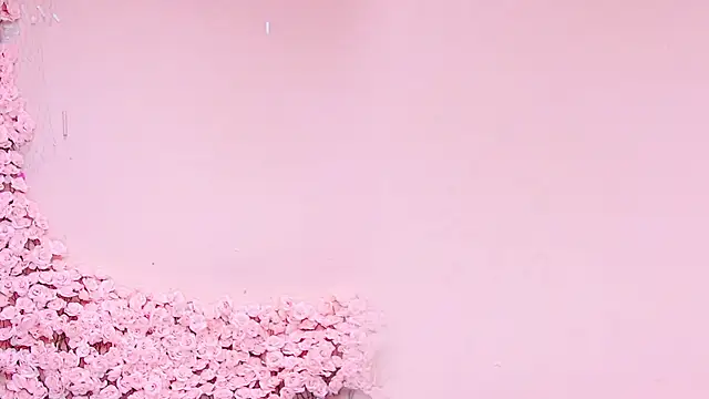 SM-777 webcam