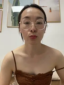 you-520 webcam