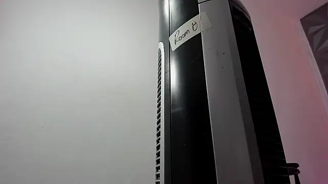 Fayzz_2 webcam