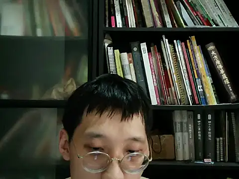 Lv8763 webcam