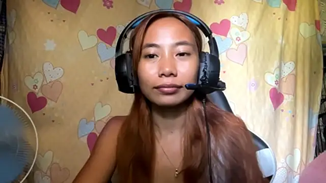 PiaSwida webcam